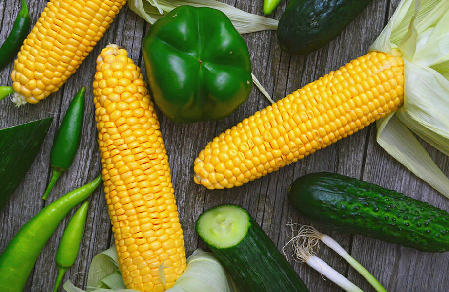 Food that can be sterilised in a TERRA Food-Tech autoclave: vegetables