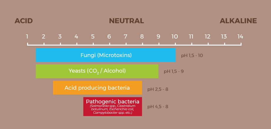 Importance of food pH in microorganism proliferation