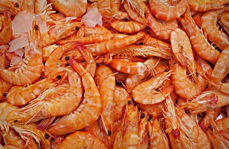 Gambas frescas.