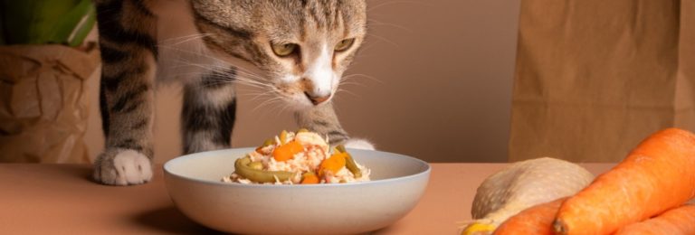 Esterilización de comida para mascotas