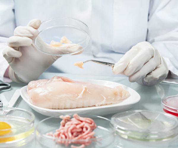 Investigación en Universidad de Ciencia y Tecnología de los Alimentos